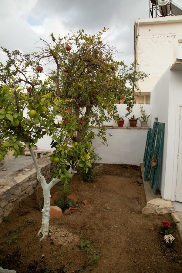 فيلا Iliopetra House Sívas المظهر الخارجي الصورة